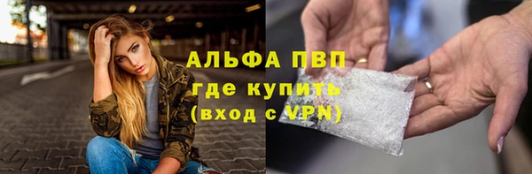 индика Армянск