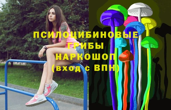 индика Армянск