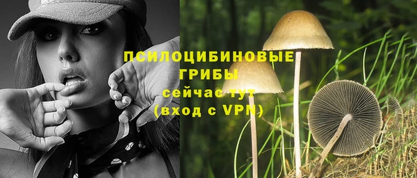 индика Армянск