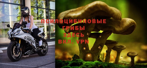 стафф Аркадак
