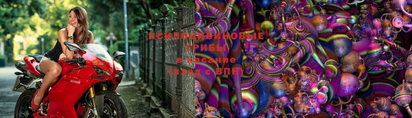стафф Аркадак
