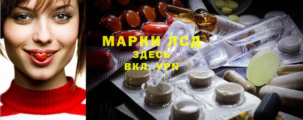 индика Армянск